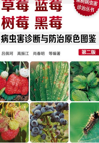 微信读书