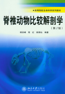 脊椎動物比較解剖學(第2版)