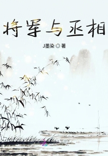 將軍與丞相