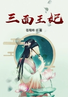 三面王妃在線閱讀