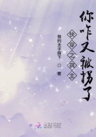 快穿之宿主你咋又被拐了在線閱讀