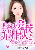 陆先生爱我请排队在线阅读