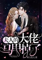 夫人的大佬马甲掉了在线阅读