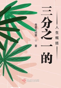 三分之一的人生概括