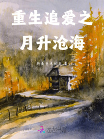 重生追愛之星漢燦爛