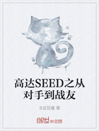 高达SEED之从对手到战友