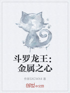 斗罗龙王:金属之心在线阅读