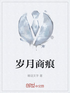 岁月商痕在线阅读