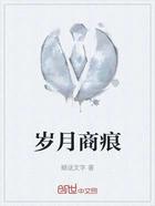 岁月商痕在线阅读