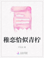 稚恋恰似青柠在线阅读