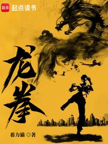 龙拳在线阅读