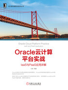 Oracle云计算平台实战：IaaS与PaaS应用详解