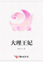 大理王妃在線閱讀