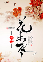 長安花未盡在線閱讀