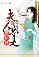 夫人总是想和离在线阅读