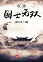 大唐國士無雙在線閱讀