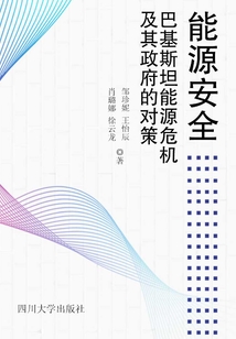 能源安全:巴基斯坦能源危機及其政府的對策
