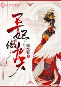 王妃傲九天