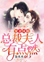 宠妻成瘾:总裁夫人有点燃在线阅读