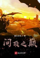 问顶之巅在线阅读