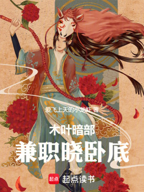 木叶暗部，兼职晓卧底在线阅读