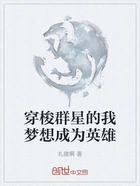 穿梭群星的我梦想成为英雄在线阅读