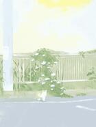 姜宁在线阅读