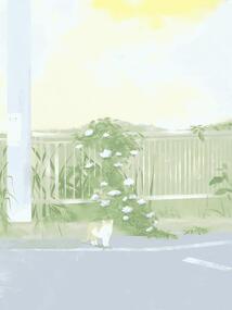 姜寧