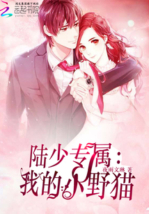 陸少專屬：我的小野貓