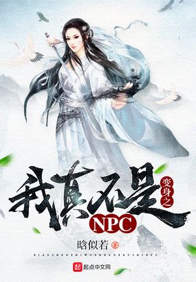 我真不是NPC在线阅读