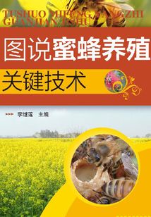圖說蜜蜂養殖關鍵技術