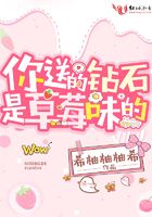 你送的鉆石是草莓味的在線閱讀