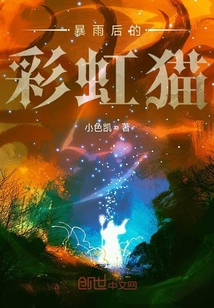暴雨后的彩虹貓