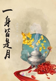 一身皆是月