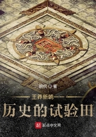 王莽新朝一一历史的试验田