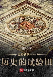 王莽新朝一一歷史的試驗田