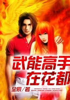 武能高手在花都在線閱讀