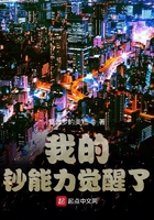 我的钞能力觉醒了在线阅读
