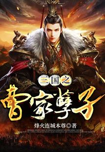 三国之曹家孽子