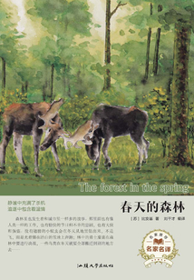 春天的森林
