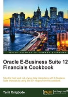 Oracle E/Business Suite 12 Financials Cookbook在线阅读