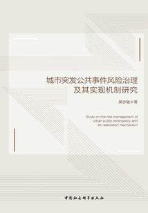 城市突發(fā)公共事件風(fēng)險(xiǎn)治理及其實(shí)現(xiàn)機(jī)制研究