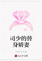 司少的替身嬌妻在線閱讀