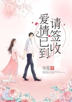 愛情已到，請(qǐng)簽收！在線閱讀