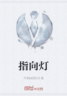 指向燈