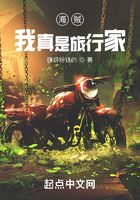 海贼:我真是旅行家