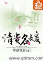 清贵名媛在线阅读