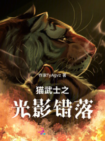 貓武士之光影錯(cuò)落