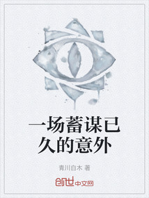 一場蓄謀已久的意外