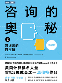 咨詢的奧秘2：咨詢師的百寶箱（珍藏版）